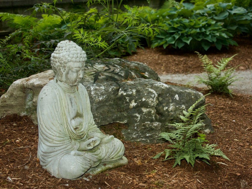 Waterloo Riverview Dharma Centre logo